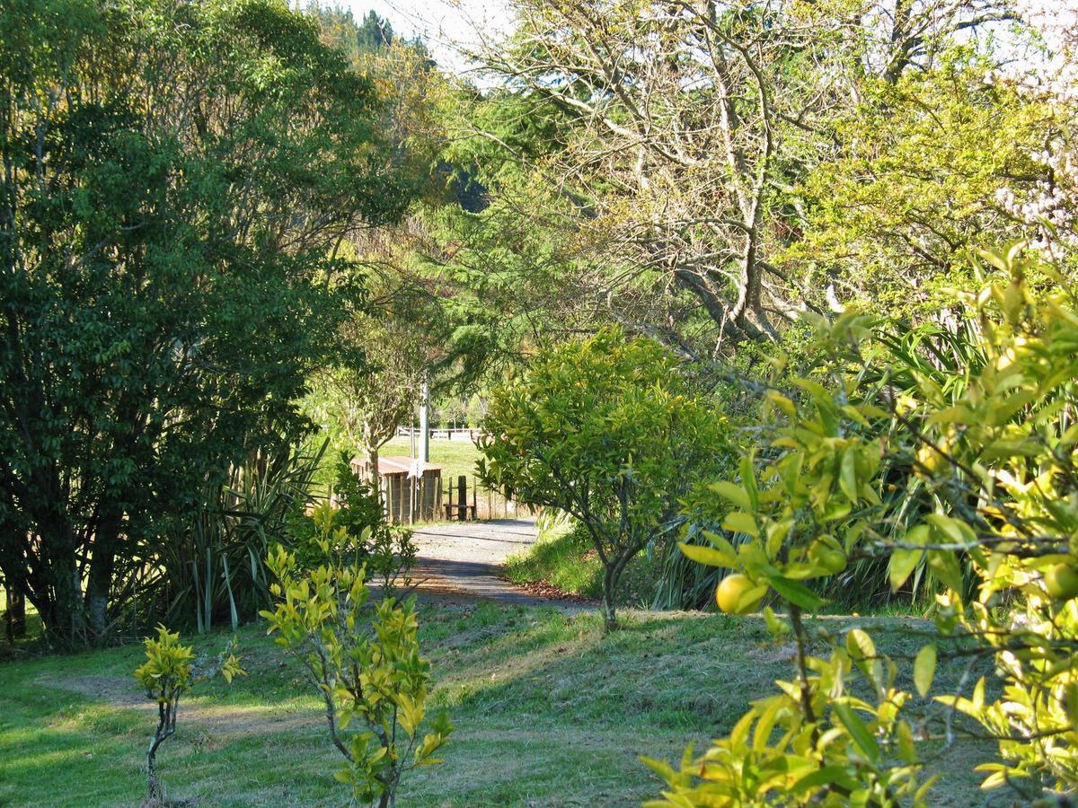 Corru Gate Villa Mapua Bagian luar foto
